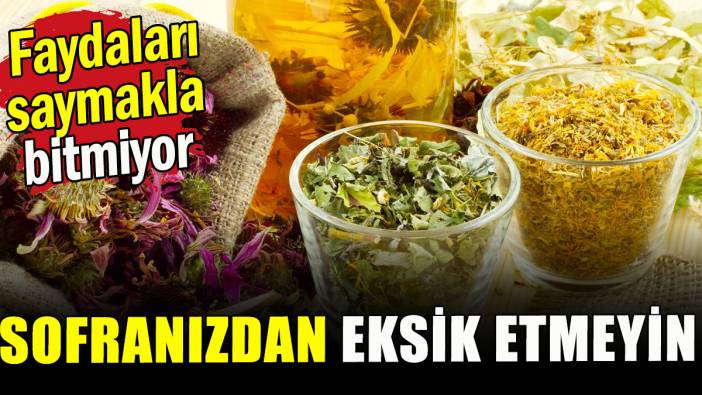 Hangi bitkiler şifalı? Bitkisel otlar neye iyi gelir?