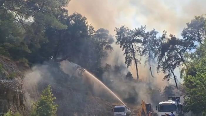 Antalya'daki orman yangını kontrol altına alındı