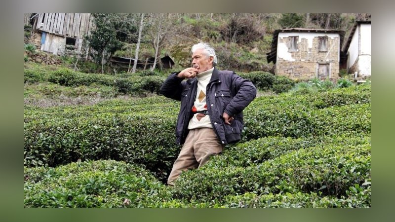 Kuş dilinin alfabesi oluşturulacak