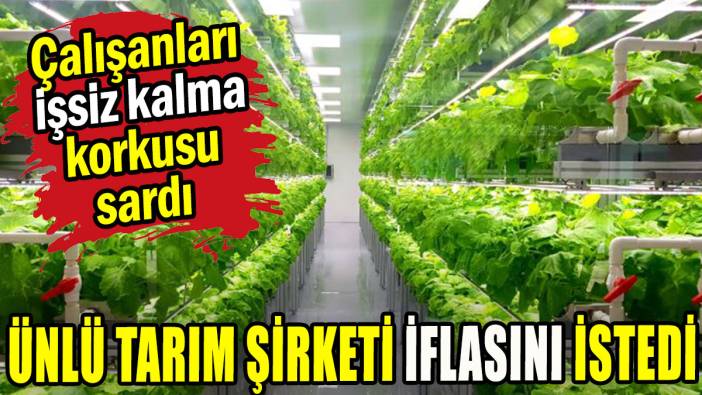 Ünlü tarım şirketi iflasını istedi