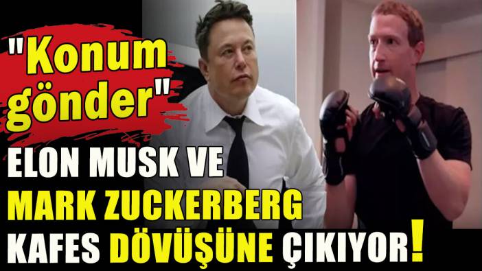 Elon Musk ve Mark Zuckerberg kafes dövüşüne çıkıyor!