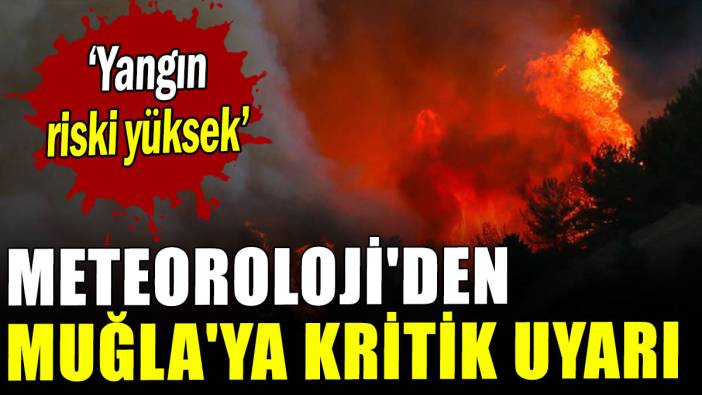 Meteoroloji'den Muğla'ya kritik uyarı: Yangın riski yüksek