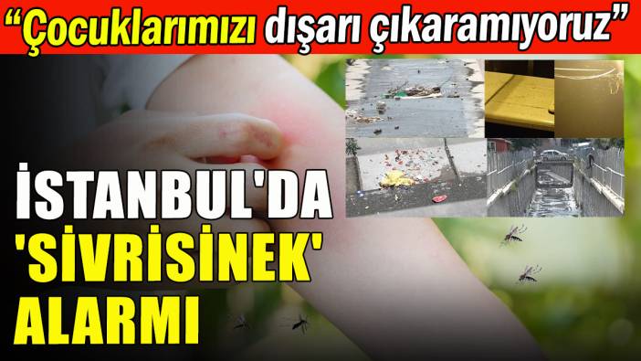 İstanbul'da 'sivrisinek' alarmı