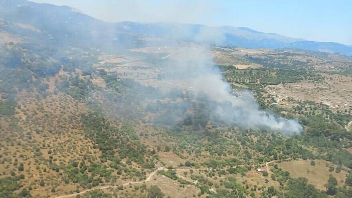 İzmir Bergama'da yangın