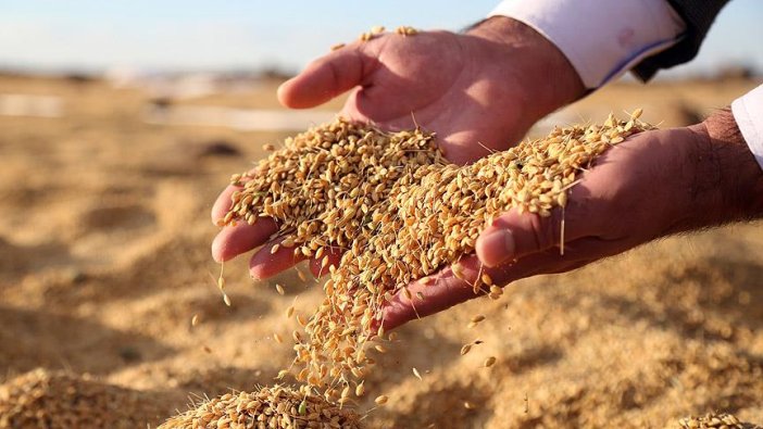 Diyarbakır pirinci de tescillendi