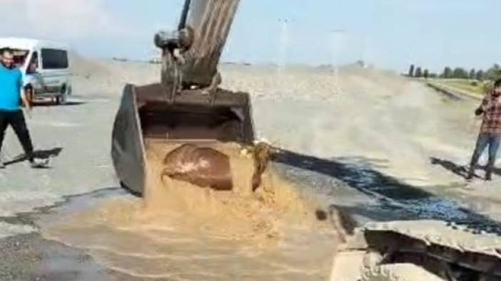 Su kanalına düşen dana kepçeyle kurtarıldı