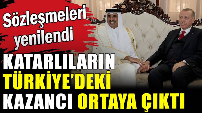 Katarlıların Türkiye'deki kârı ortaya çıktı