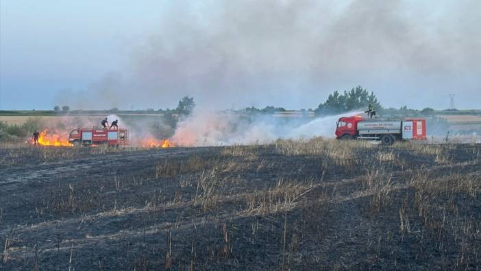 Kırklareli’nde yangın! 20 dönüm buğday küle döndü