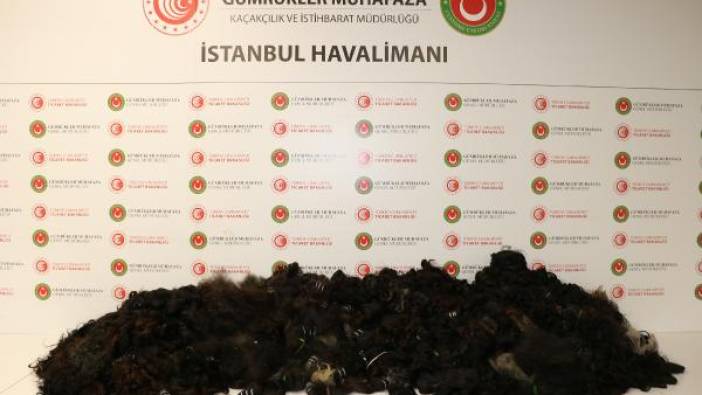 İstanbul Havalimanı'nda 93 kilogram insan saçı ele geçirildi