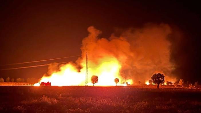 Diyarbakır'da 400 dönüm buğday ve mercimek kül oldu