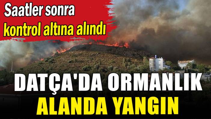 Datça'da ormanlık alanda yangın
