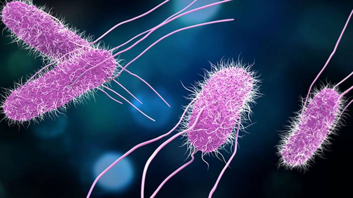 Dünyaca ünlü markada 'salmonella' vakası