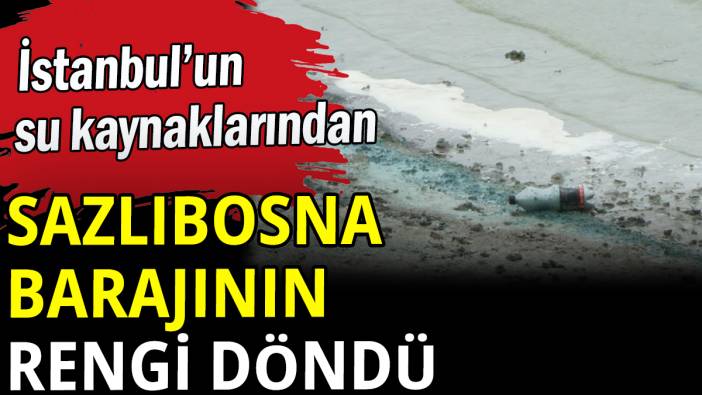 İstanbul'un su kaynağı Sazlıbosna Barajının rengi döndü