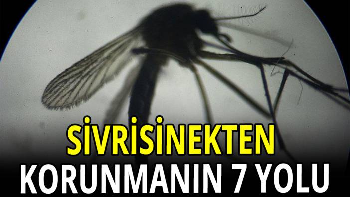 Sivrisinekten korunmanın 7 yolu