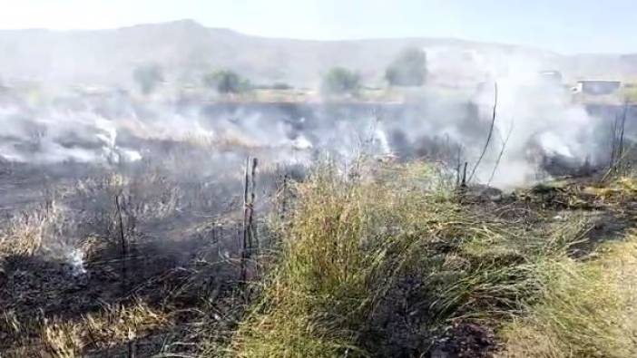 Elazığ’da 10 dönüm tarım arazisi yandı