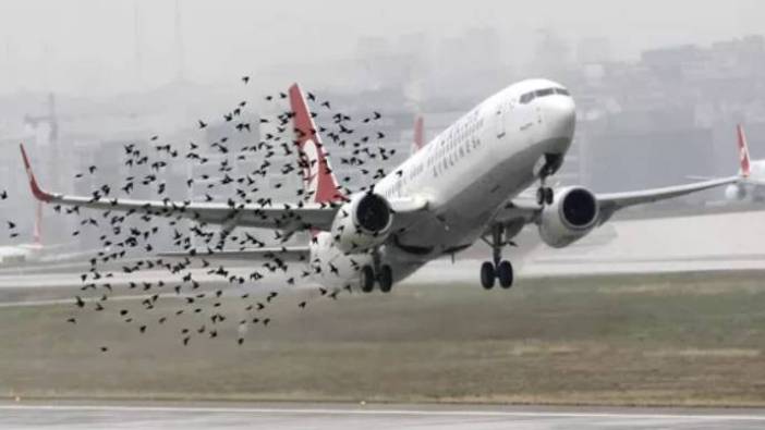 İstanbul'da kuş sürüsü uçuşları engelledi