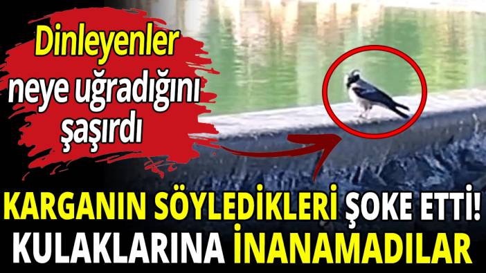 Karganın söyledikleri şoke etti! Kulaklarına inanamadılar