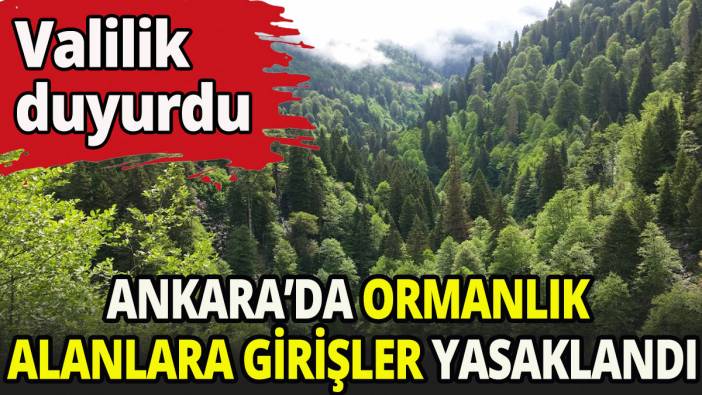 Ankara’da ormanlık alanlara girişler yasaklandı