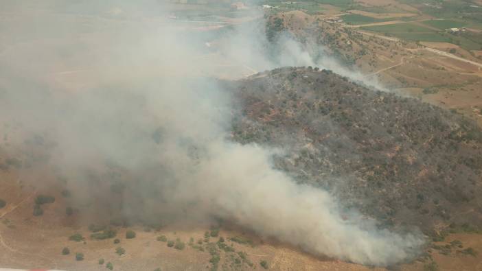İzmir'de tarlada çıkan yangın, ormana sıçradı