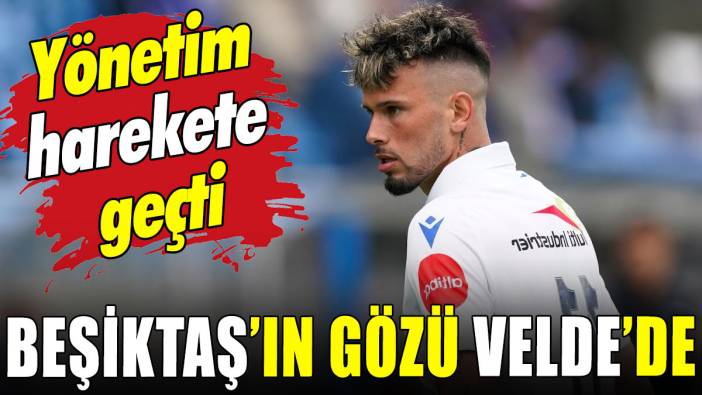 Yönetim harekete geçti: Beşiktaş'ın gözü Velde'de