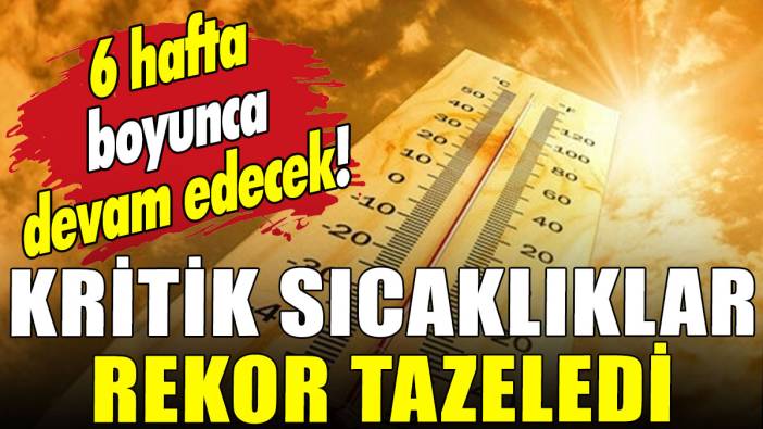 Dünya sıcaklığı rekor tazeledi: 6 hafta boyunca devam edebilir