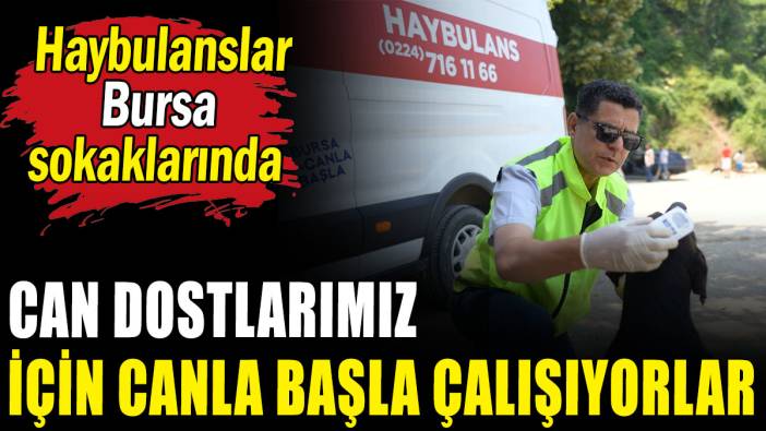 Hayvanseverlerin takdirini kazanan proje hayata geçirildi