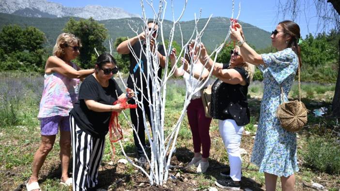 Lavanta bahçesi turları başlıyor