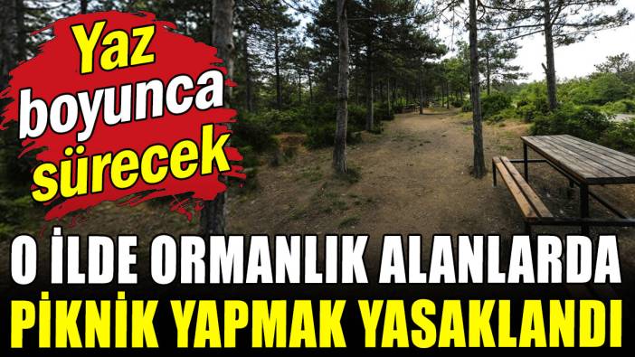 Yaz boyu sürecek: O ilde piknik yapmak yasaklandı