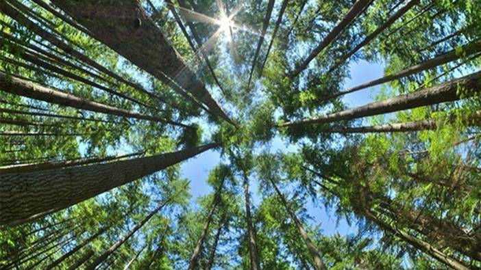 Valilik peş peşe açıkladı! Bir ilde daha yasaklandı