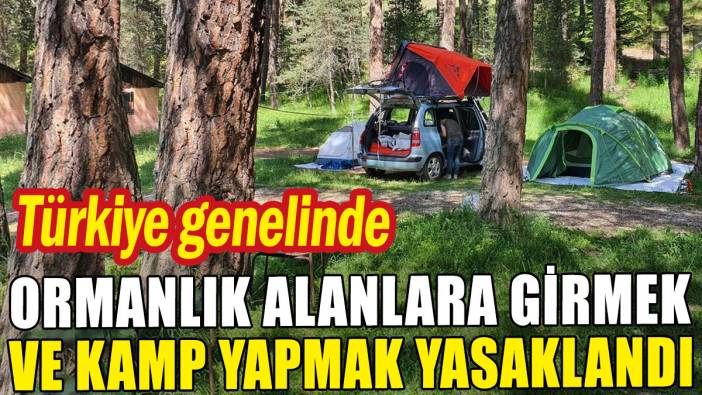 Ormanlık alanlara girmek ve çadır kurmak 81 ilde yasaklandı