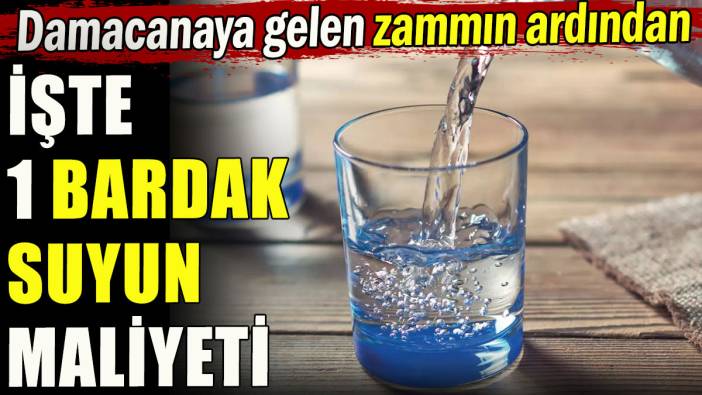 1 bardak suyun maliyeti belli oldu