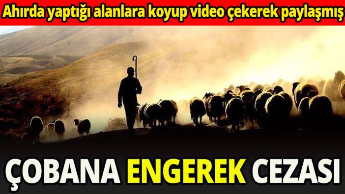 Çobana engerek cezası