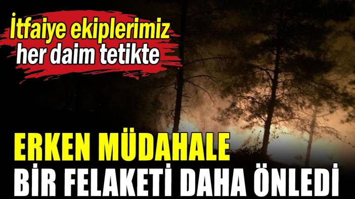Yangına erken müdahale ormanı kurtardı