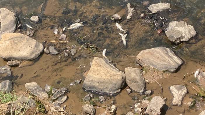 Bingöl'de tedirgin eden ölümler