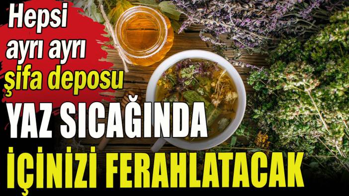 Yaz sıcağında içinizi ferahlatacak 5 şifalı çay