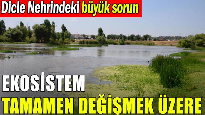 Dicle Nehrinde çöp sorunu