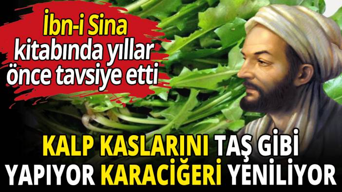 Kalp kaslarını taş gibi yapıyor, karaciğeri yeniliyor