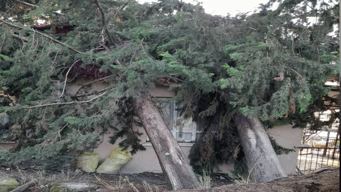Ağaç lojmanın üzerine devrildi