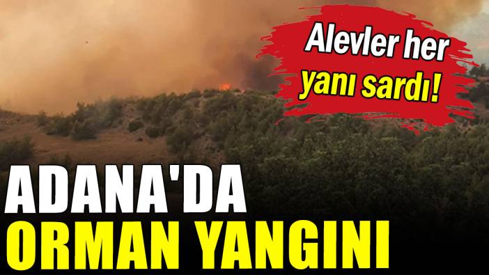Adana'da orman yangını