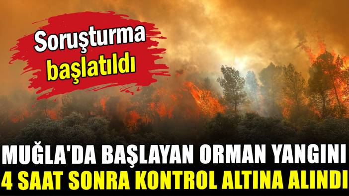 Muğla'da başlayan orman yangını 4 saat sonra kontrol altına alındı