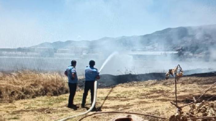 Gaziantep'te anız yangını