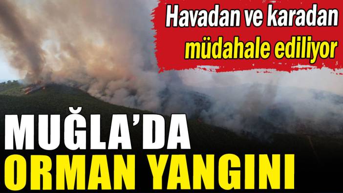 Muğla'da orman yangını