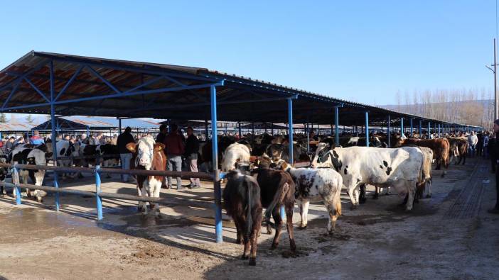 'Şap hastalığı' nedeniyle hayvan pazarı kapatıldı