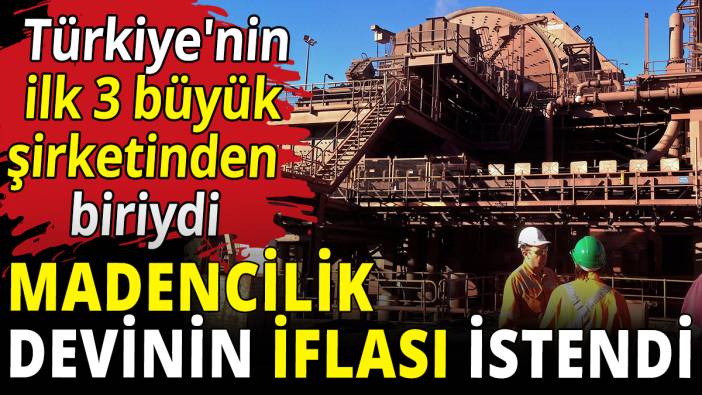 Madencilik devinin iflası istendi
