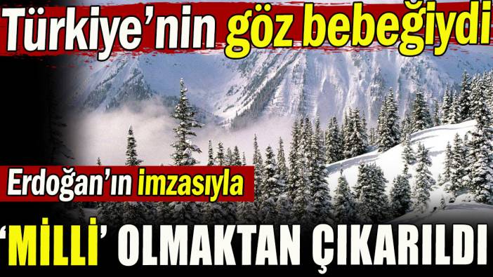 Uludağ Milli Parkı  vasfı kaldırıldı