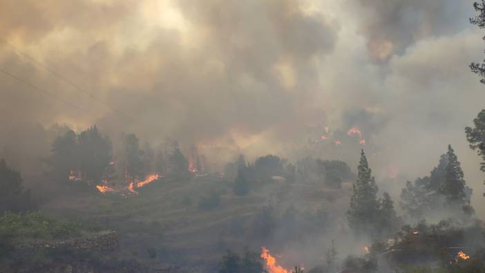 İspanya'da orman yangını nedeniyle yüzlerce kişi tahliye edildi