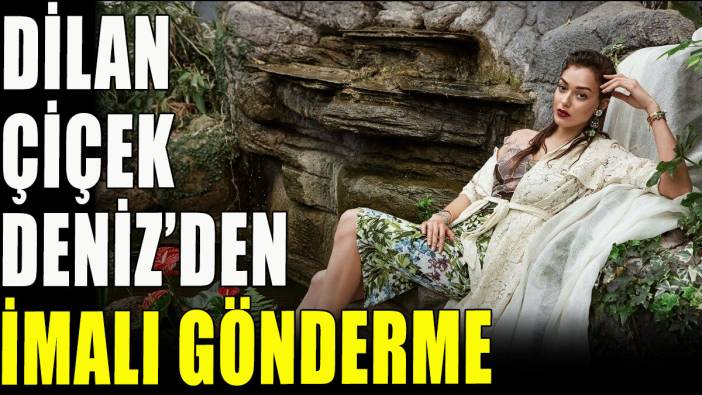 Dilan Çiçek Deniz'den imalı gönderme
