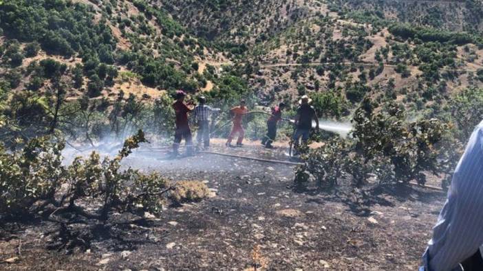 Bingöl'de ormanlık alanda çıkan yangın söndürüldü