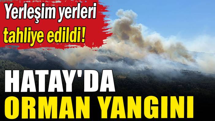 Hatay'da orman yangını