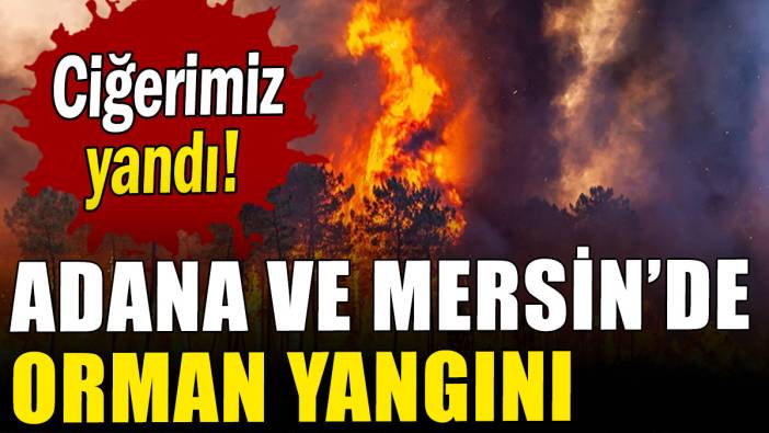 Adana ve Mersin'de orman yangını!